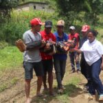 CVTL Conducts DRR Refresher Training and Tree Planting Initiative in Ainaro Municipality