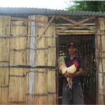 POULTRY RAISING COMMUNITY AND VEGETABLE PRODUCTION IN MINDELO VILLAGE, MANUFAHI MUNICIPALITY